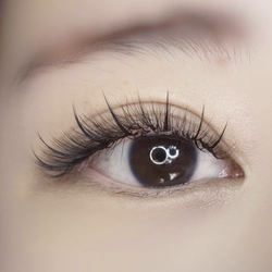 MissCat Eyelash - MissCat Eyelash, Eyelash Extensions, White Plains, NY