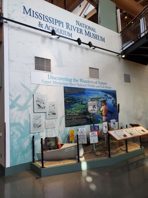 National Mississippi River Museum & Aquarium by null