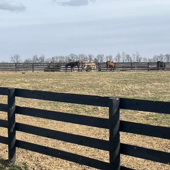 Prodigy Vineyards & Winery - Music Venues Near Me - Versailles, Kentucky Prodigy Vineyards & Winery - Music Venues Near Me - Versailles, Kentucky