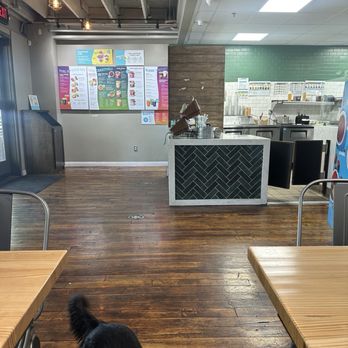 Nekter Juice Bar - Spacious - Juice Bars & Smoothies Near Me - Claremont, California Nekter Juice Bar - Spacious - Juice Bars & Smoothies Near Me - Claremont, California