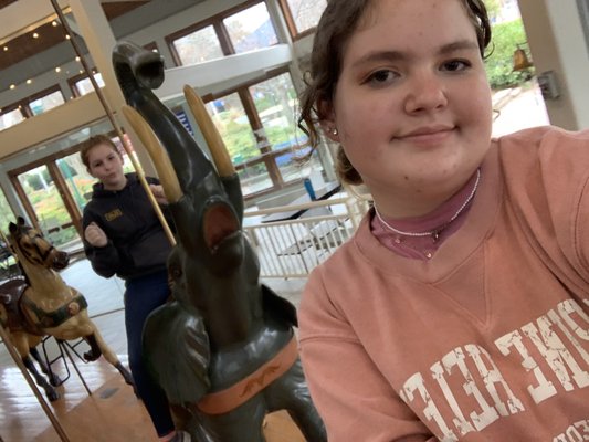 Coolidge Carousel by null