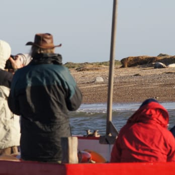 Beans Boat Trips - Seal watchers, Blakeney, Norfolk, beans boat trips - Boat Tours Near Me - Holt, NFK