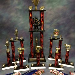 Recognitions, Awards and More