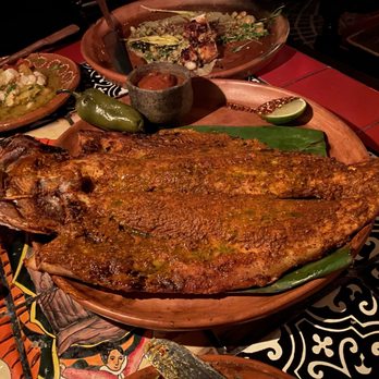 Beginner's Diner - Branzino - Diners Near Me - San Diego, California Beginner's Diner - Branzino - Diners Near Me - San Diego, California