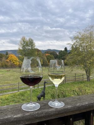 Wy'East Vineyards by null