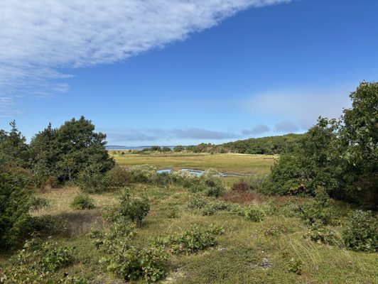 Mass Audubon Wellfleet Bay Wildlife Sanctuary by null