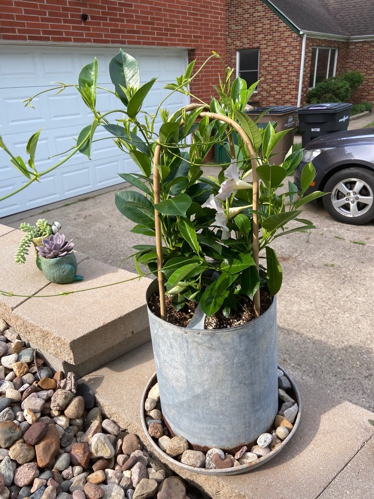 NORTON’S GREENHOUSE Updated August 2024 700 W Ross St, Toledo, Iowa