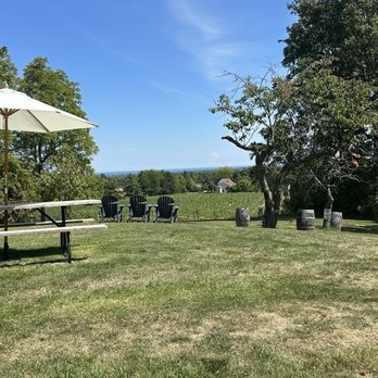 Organized Crime Winery - Wineries Near Me - Beamsville, Ontario Organized Crime Winery - Wineries Near Me - Beamsville, Ontario