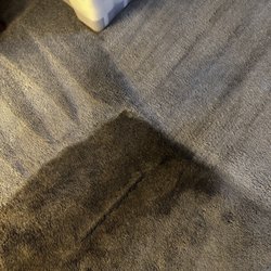 Colorburst Carpet Care