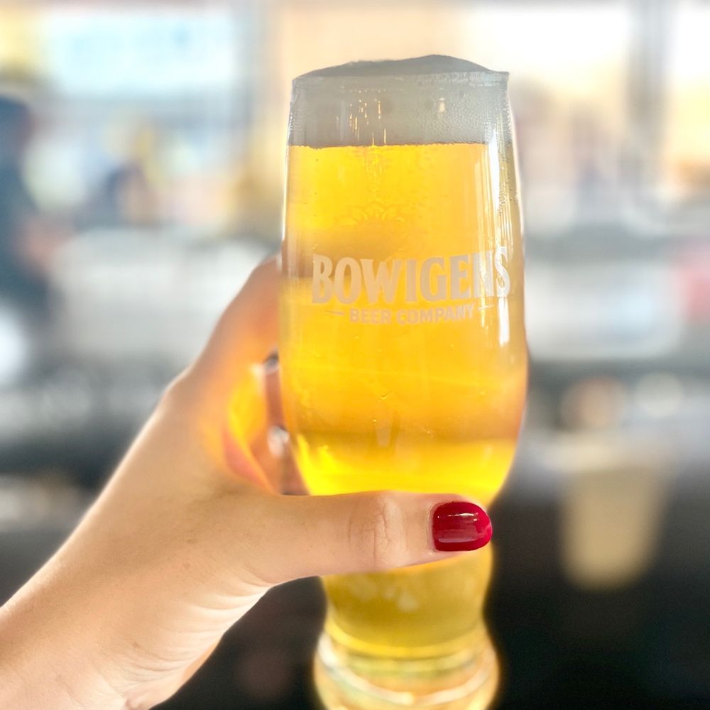 Bowigens Beer - Avalon Park - Pale Ale - staff recommendation! I usually go for a lager. - Breweries Near Me - Orlando, Florida Bowigens Beer - Avalon Park - Pale Ale - staff recommendation! I usually go for a lager. - Breweries Near Me - Orlando, Florida