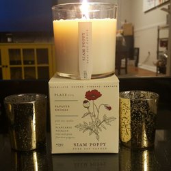 Pineapple on Main - A wonderful candle with plantable packaging!