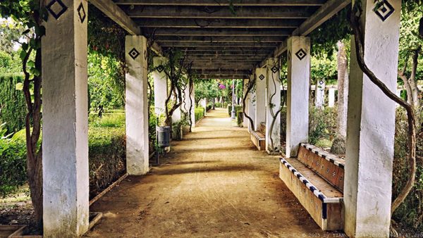Parque de María Luisa by null