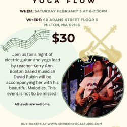 Shine On Yoga and Wellness - February's featured musician!!