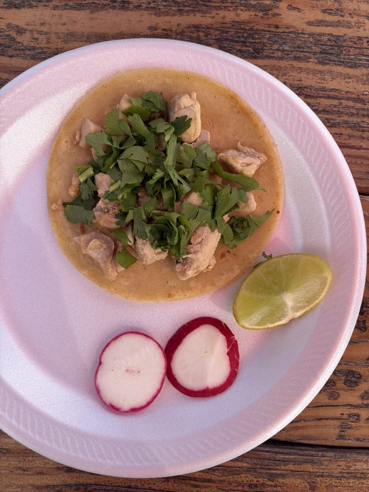 Taqueria Los Girasoles — Mexican restaurant in Plant City