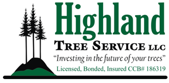 Highland Tree Service - tree service in Eugene, OR
