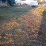 Photo of Root Family Lawn Care & Home Services