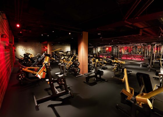 JOHN REED Fitness by null