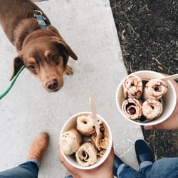 Holla Mode Thai Style Ice Cream - My dog wasnt into the fact that this wasnt for her.