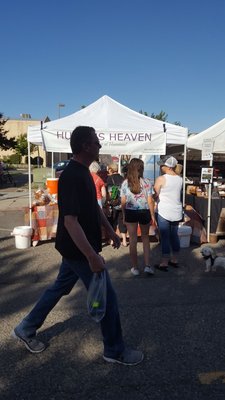 Oakdale Morning Market by null