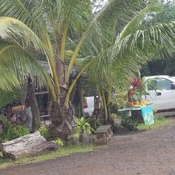 Mango 'Otai