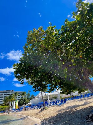 The Ritz-Carlton, St. Thomas by null