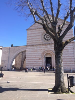 Basilica di Santa Chiara by null