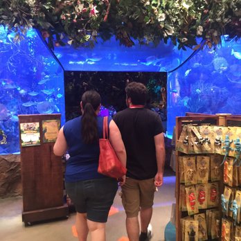 Rainforest Cafe - American Near Me - Auburn Hills, Michigan Rainforest Cafe - American Near Me - Auburn Hills, Michigan