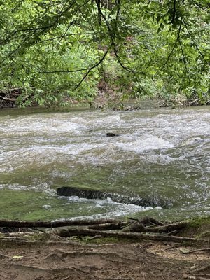 Vickery Creek Trail by null