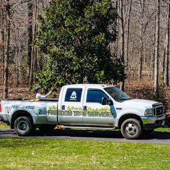 Freedom Tree Service - Tree Services Near Me - Manassas, Virginia Freedom Tree Service - Tree Services Near Me - Manassas, Virginia