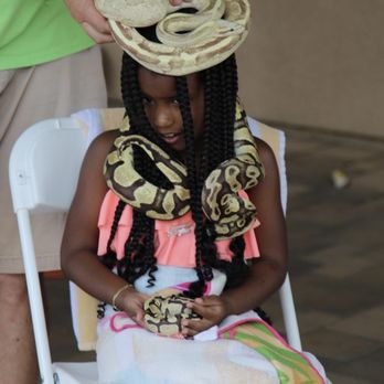 Kids Reptile Parties - Birthday Girl with all the Snakes - Party & Event Planning Near Me Kids Reptile Parties - Birthday Girl with all the Snakes - Party & Event Planning Near Me