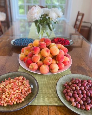 Lewin Farms by null