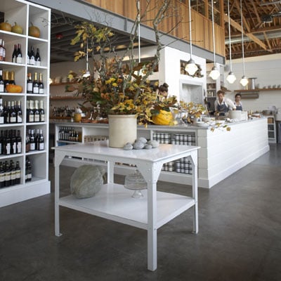 The Whale Wins by null The Whale Wins by null