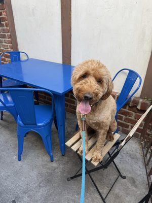 Pop’s Bagels by null