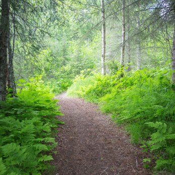 Indian Valley Trail - South junction onto powerline pass - Hiking Near Me - Anchorage, Alaska