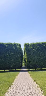 DIA BEACON - 919 Photos & 253 Reviews - 3 Beekman St, Beacon, NY - Yelp