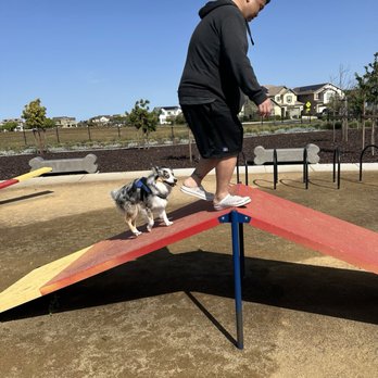 Ellis Dog Park - Dog Parks Near Me - Tracy, California