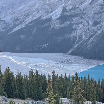 Peyto Lake Viewpoint - Parks Near Me - Nordegg, Alberta