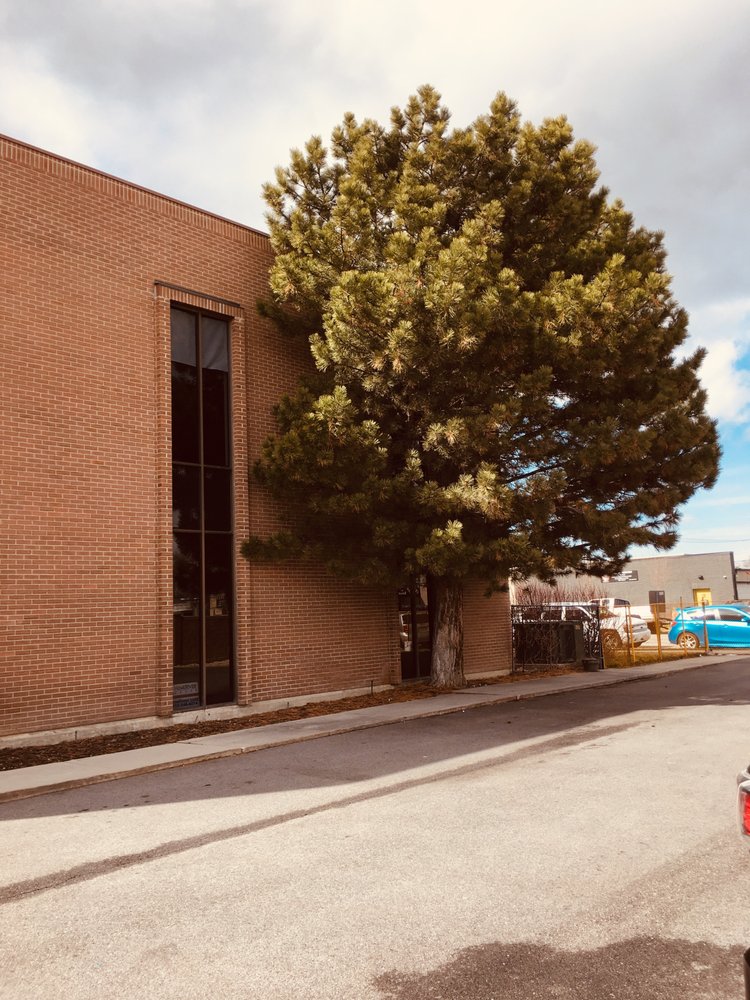 ANICKA COUNSELING CENTER Updated August 2024 12 Photos 3195 S