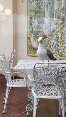 Mecenate Palace Hotel by null