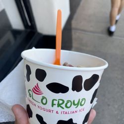 SLO Froyo & Italian Ice - frozen yogurt