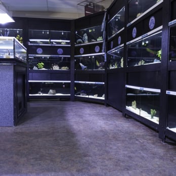 Premier Aquatics - Aquarium Services Near Me - Marietta, Georgia