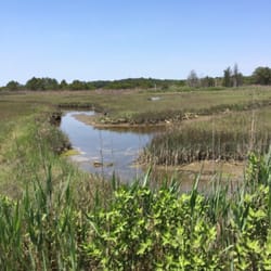 Okie Nature Wildlife Preserve - Tidal March - Minnows
