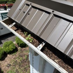 Frye Roofing - Before, so many needles and the downspouts were very clogged.