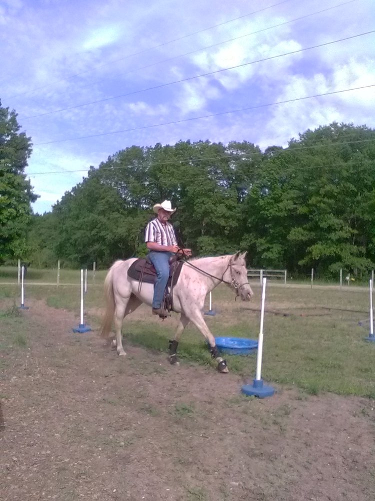 My POA Pony - equestrian in Fremont, MI