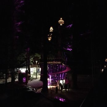 Redwoods Treewalk & Nightlights - Parks Near Me - Rotorua, BOP