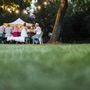 Photo of TruGreen Lawn Care