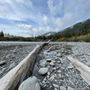 Photo of Hoh River