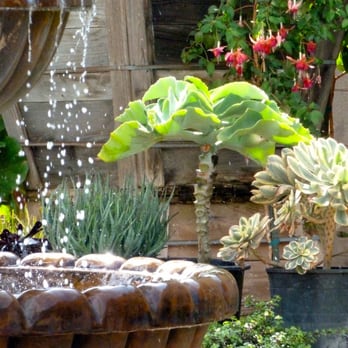 The Backyard - Nurseries & Gardening Near Me - Costa Mesa, California The Backyard - Nurseries & Gardening Near Me - Costa Mesa, California