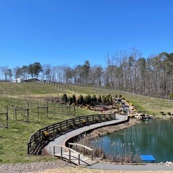 Big Door Vineyards - Wineries Near Me - White, Georgia
