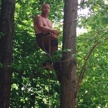 Acorn Tree & Crane Service - Tree Services Near Me Acorn Tree & Crane Service - Tree Services Near Me